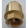 Brass Filter Valve with Plastic Core or Brass Core (a. 0195)